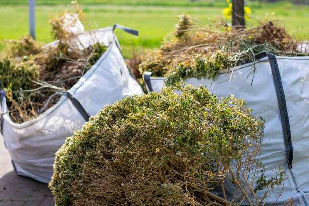 Best Construction Debris Removal  in Verona, MS